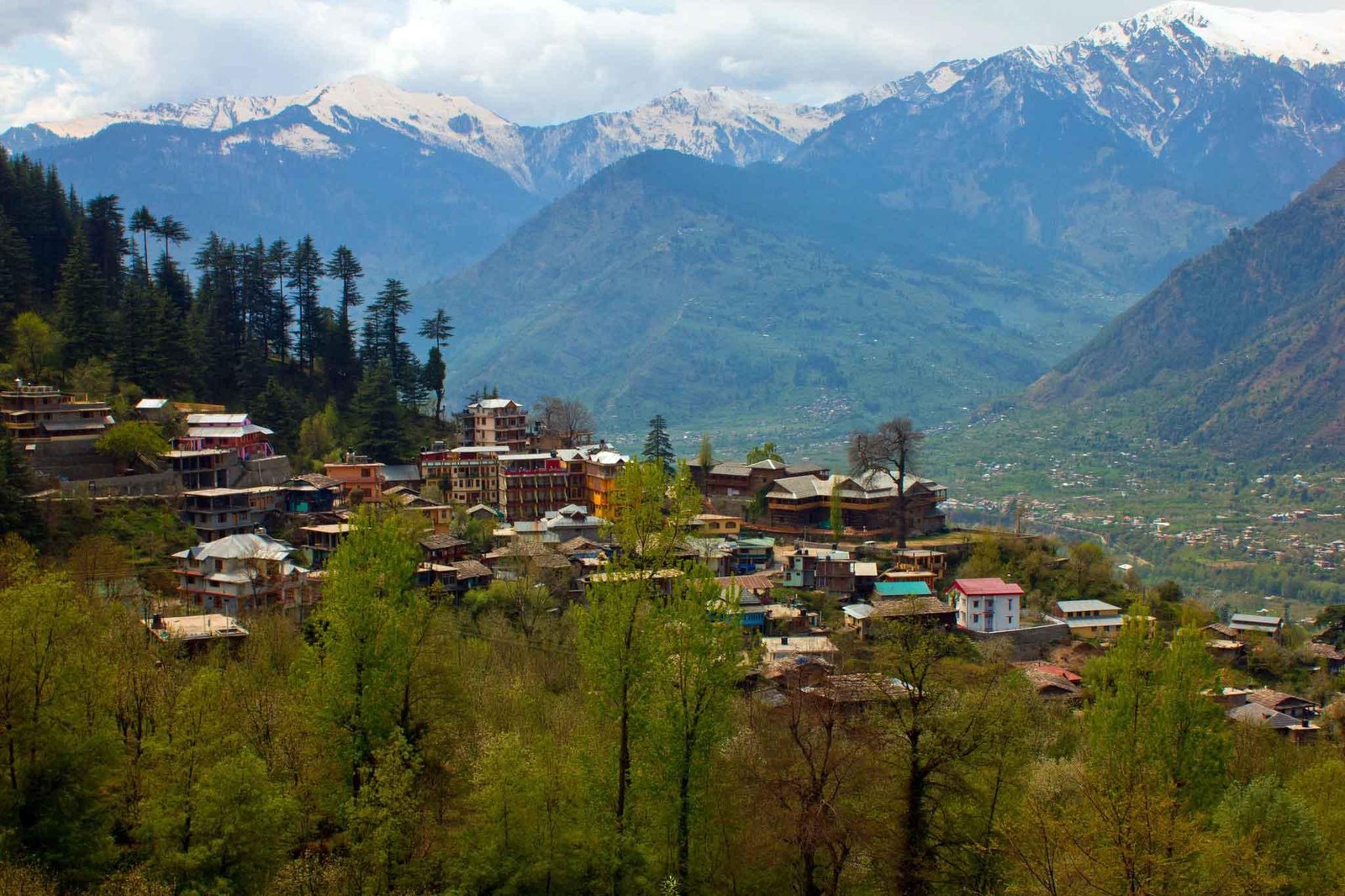 Manali Local + Solang + Kullu + Naggar